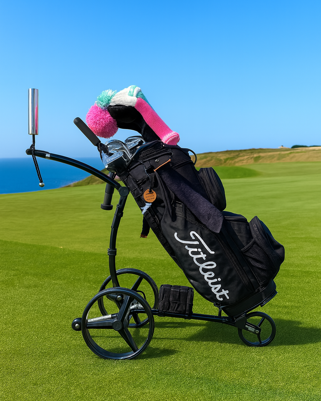 Chariot de golf GL700R-Carbone